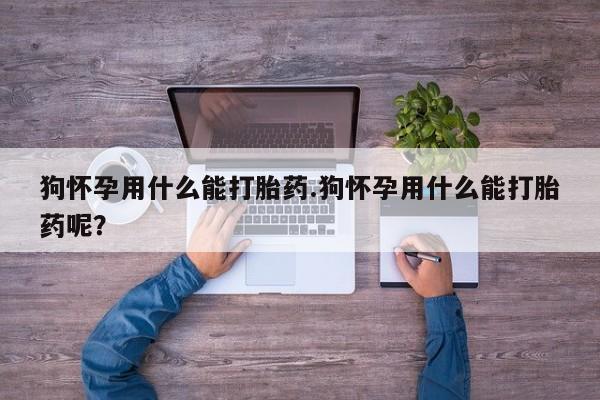 打胎药全国包邮购买联系方式微信狗怀孕用什么能打胎药.狗怀孕用什么能打胎药呢？