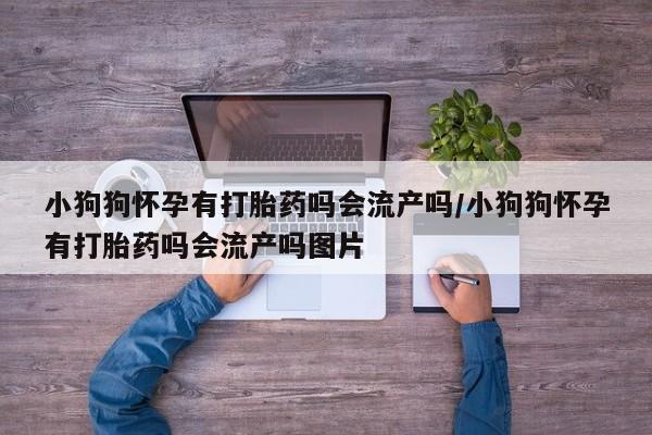 打胎药全国包邮购买联系方式微信小狗狗怀孕有打胎药吗会流产吗/小狗狗怀孕有打胎药吗会流产吗图片