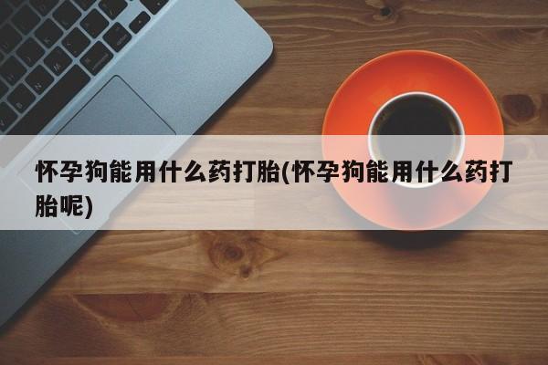 打胎药全国包邮购买联系方式微信怀孕狗能用什么药打胎(怀孕狗能用什么药打胎呢)